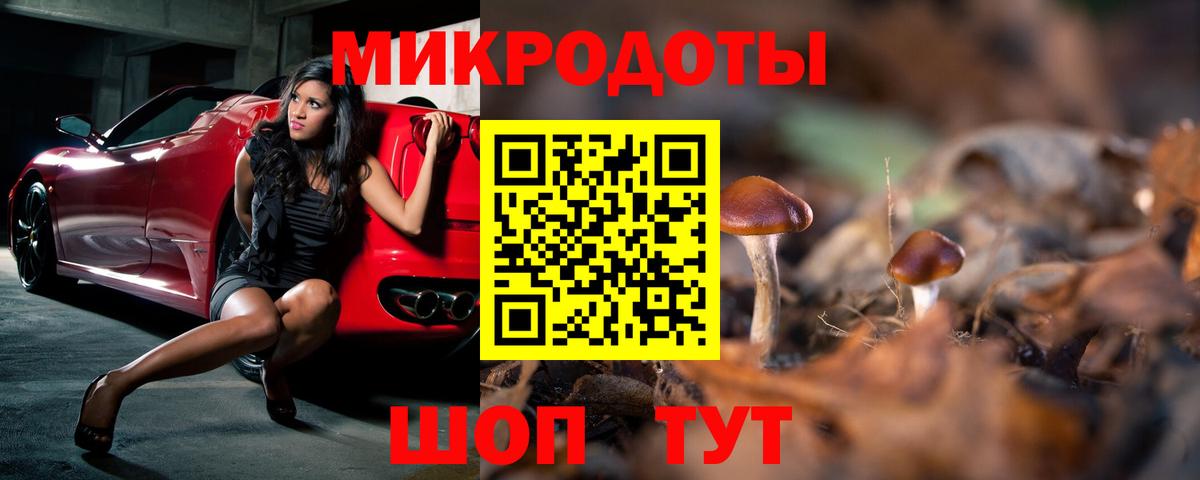 Галлюциногенные грибы Psilocybine cubensis Нижнекамск